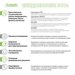 Ежедневник Ривер Сайд (River side) недатированный, серый/красный (без упаковки, без стикера)