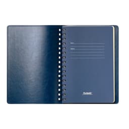 Ежедневник Виста Нео (Vista Neo) недатированный