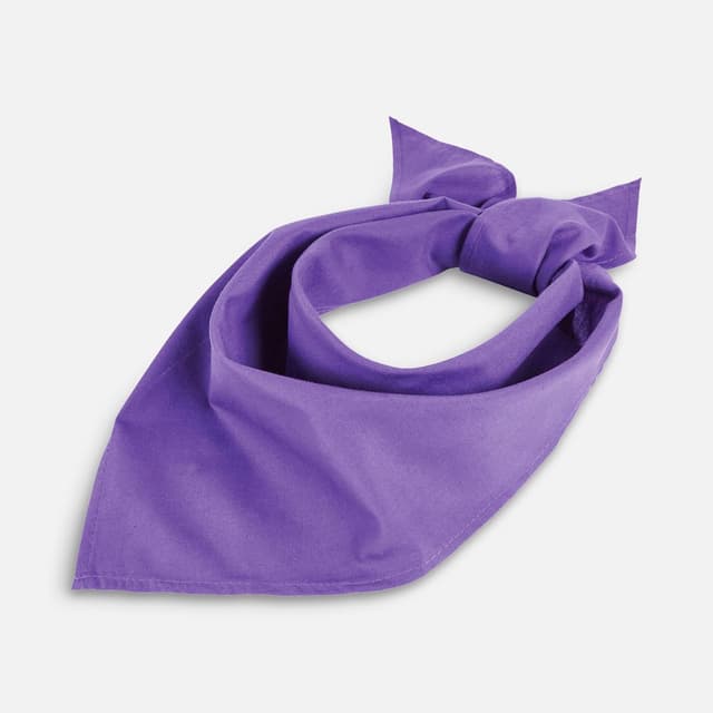 Шейный платок Bandana