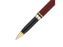 Ручка 2 в 1 шариковая и перьевая Pierre Cardin COMBI PEN