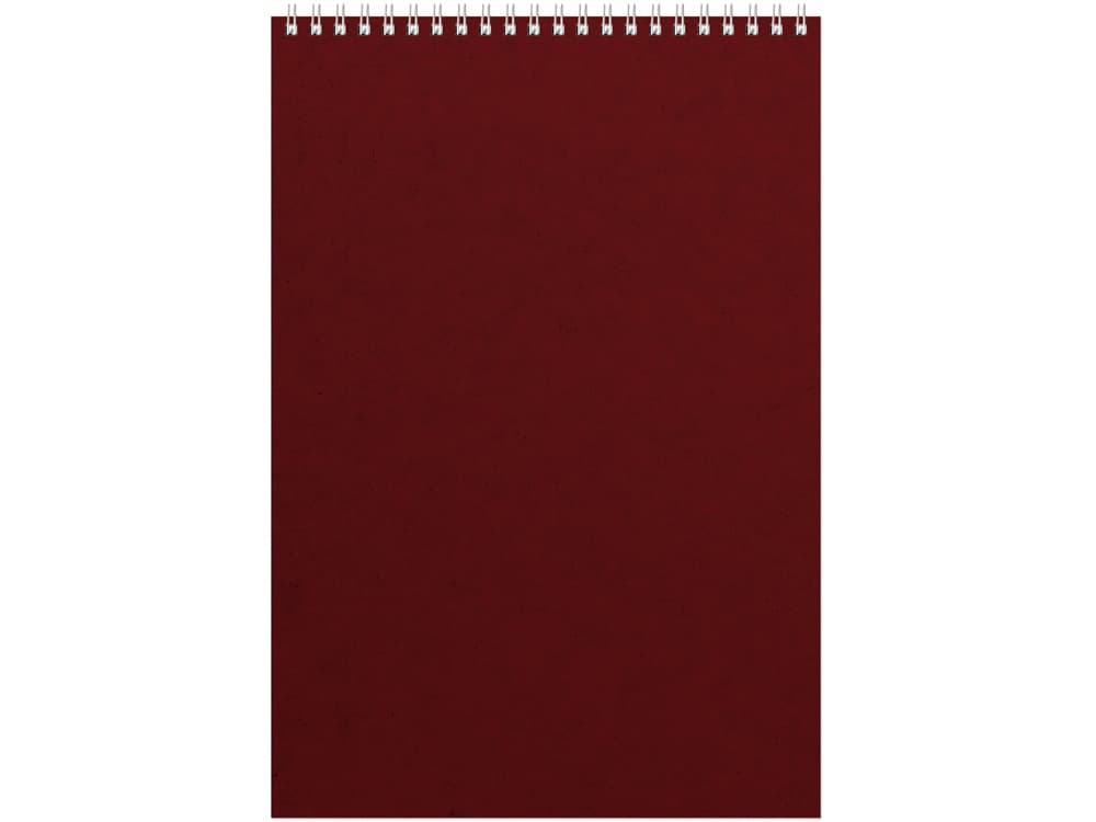 Бизнес - блокнот Альт А4 (198 х 285 мм) "Office" 60 л.