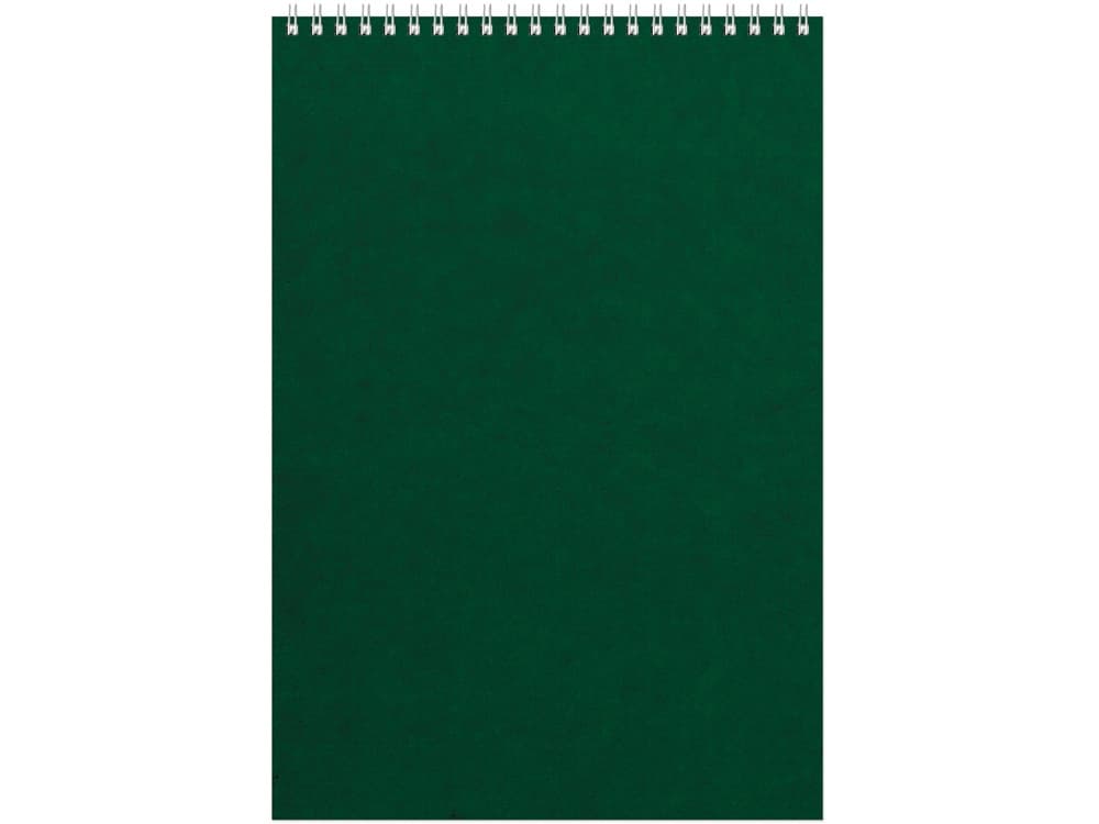 Бизнес - блокнот Альт А4 (198 х 285 мм) "Office" 60 л.