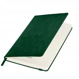 Ежедневник недатированный Voyage BtoBook, зеленый (без упаковки, без стикера) - 00323.040