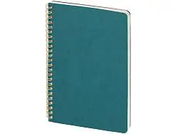 Бизнес тетрадь А5 Pragmatic