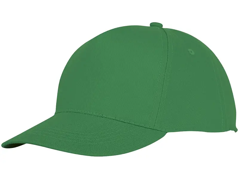 Пятипанельная кепка Hades, зеленый папоротник - 38673690