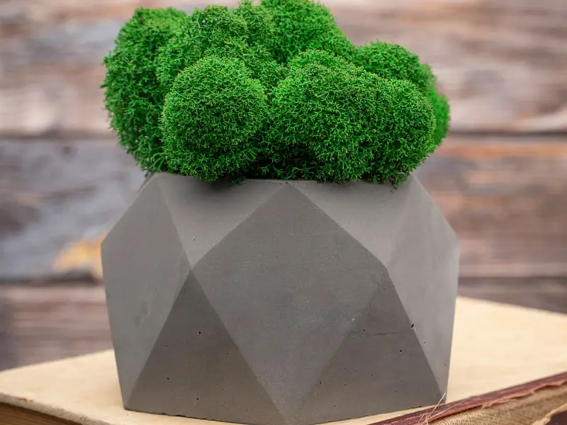 Показать дополнительное фото 3