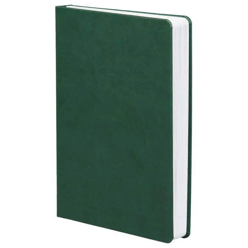 Ежедневник Basis, датированный, 15х21х2,3 см