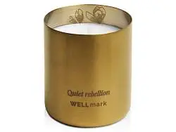 Ароматическая свеча Echoes of Kindness