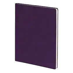 Бизнес-блокнот BIGGY