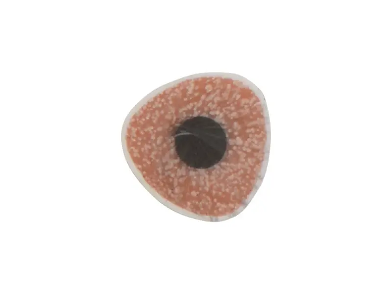 Показать дополнительное фото 1