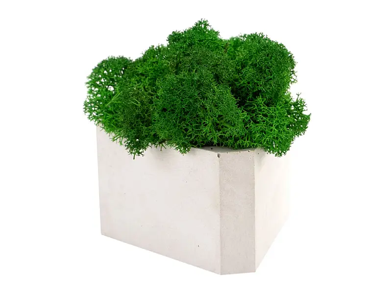 Показать дополнительное фото 2