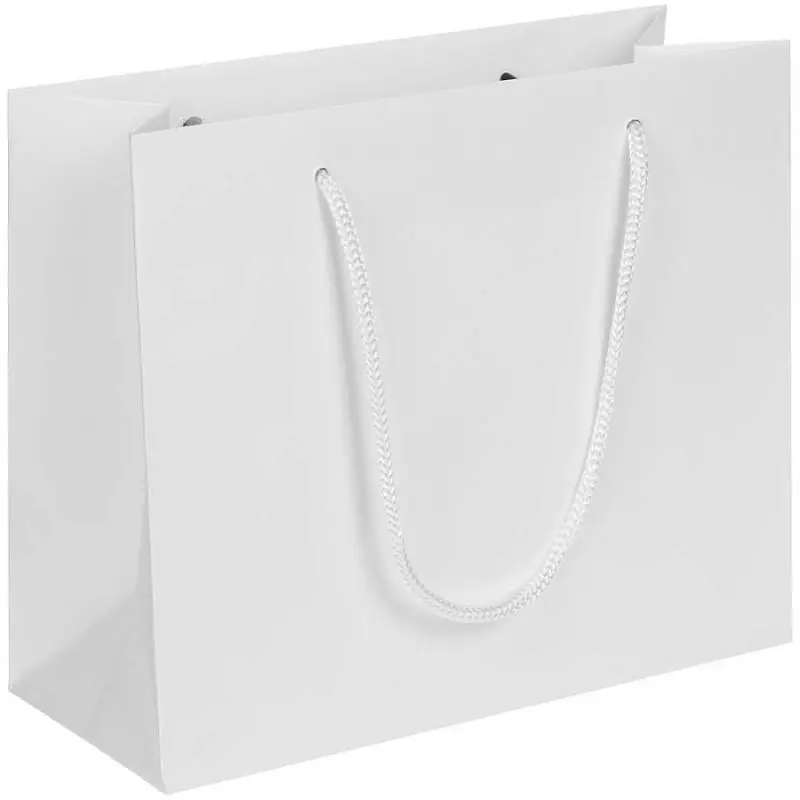 Пакет бумажный Arc S, 24х20х10 см