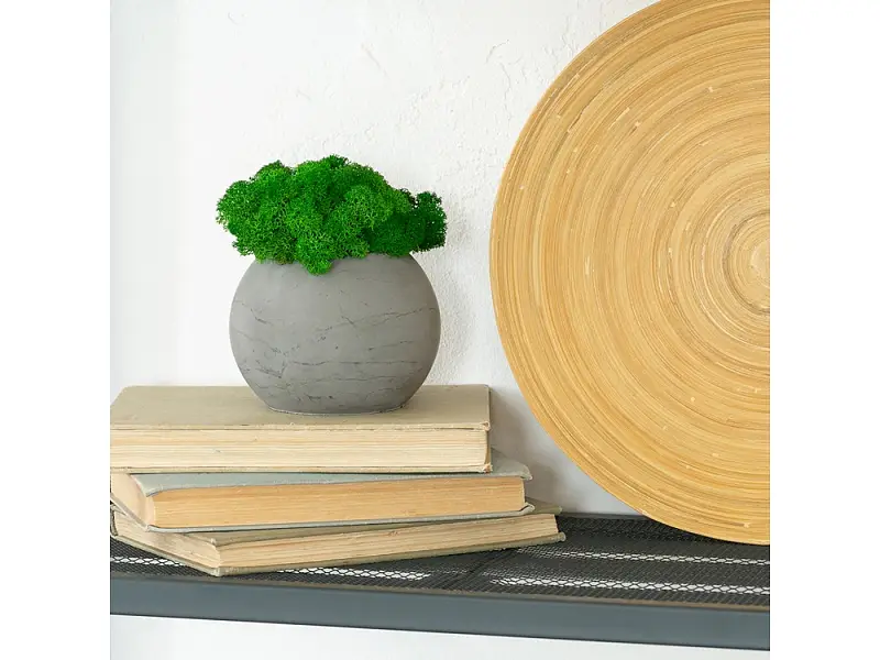 Показать дополнительное фото 4