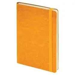 Ежедневник недатированный Boomer