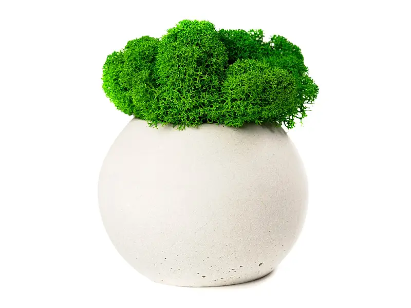 Показать дополнительное фото 1