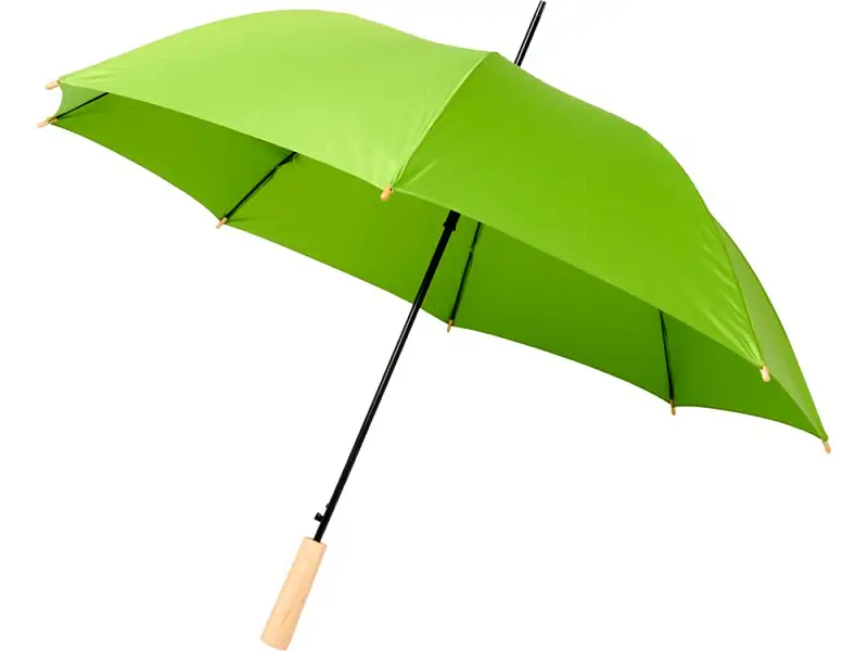 23-дюймовый автоматический зонт Alina из переработанного ПЭТ-пластика, лайм - 10940009