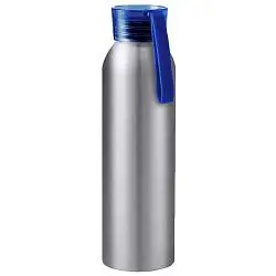 Бутылка для воды VIKING SILVER 650мл. Серебристая с фиолетовой крышкой 6141.11