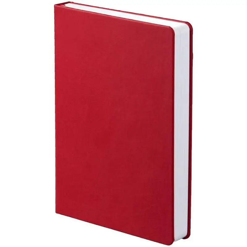 Ежедневник Basis, датированный, 15х21х2,3 см