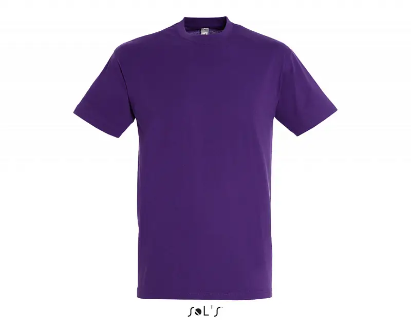Фуфайка (футболка) REGENT мужская,Темно-фиолетовый XXS