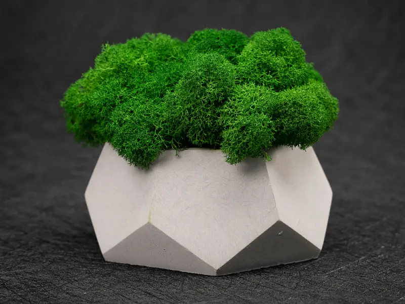 Показать дополнительное фото 4