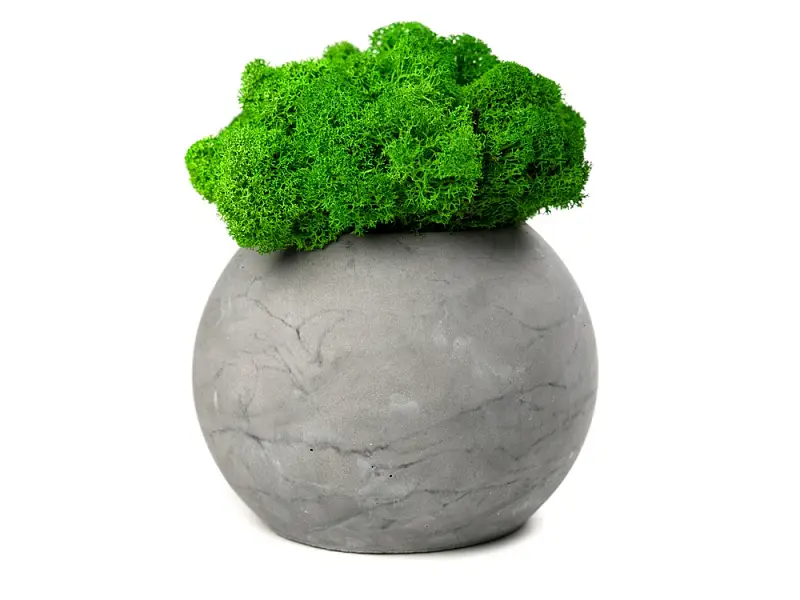 Показать дополнительное фото 1