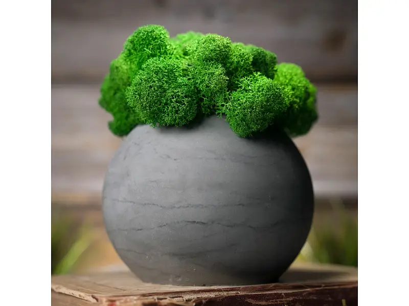 Показать дополнительное фото 5