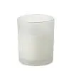 Plant based wax candle 80 gr
