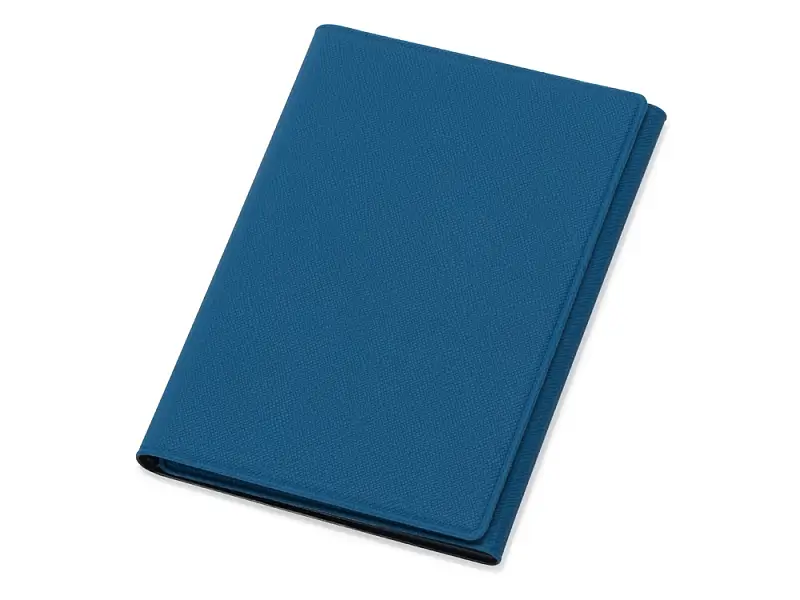 Обложка на магнитах для автодокументов и паспорта Favor, синяя - 113602