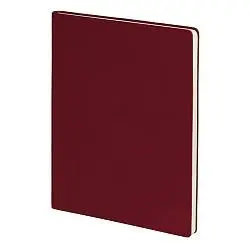 Бизнес-блокнот BIGGY