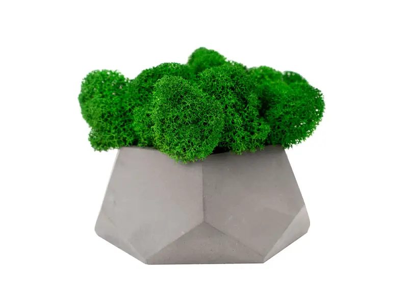 Показать дополнительное фото 1