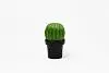МЕЛЬНИЦА ДЛЯ СПЕЦИЙ Tasty Cactus