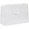 Пакет бумажный Ample Plus S, 24x20x9,5 см