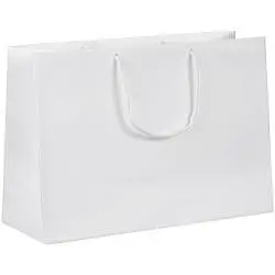 Пакет бумажный Ample Plus S, 24x20x9,5 см