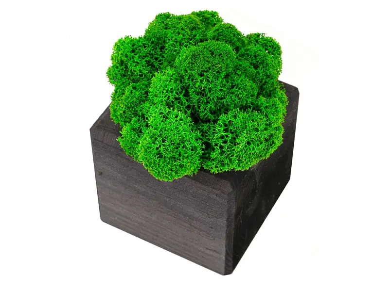 Показать дополнительное фото 2