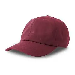 Бейсболка DAD HAT-S