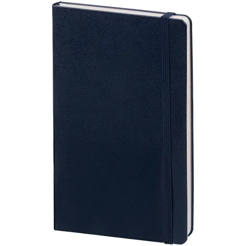 Записная книжка Moleskine Classic Large, в клетку, 13x21 см
