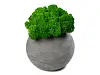 Кашпо бетонное со мхом (сфера-антарцит мох зеленый)
