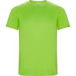 Спортивная футболка IMOLA мужская