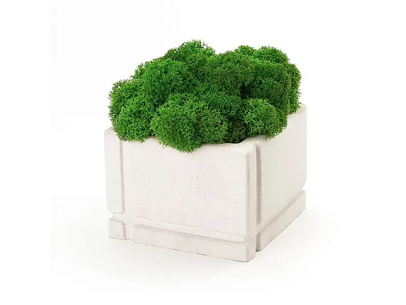 Кашпо бетонное со мхом (квадрат-циркон мох зеленый), QRONA - 4500618