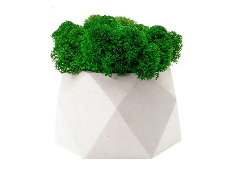 Показать дополнительное фото 1