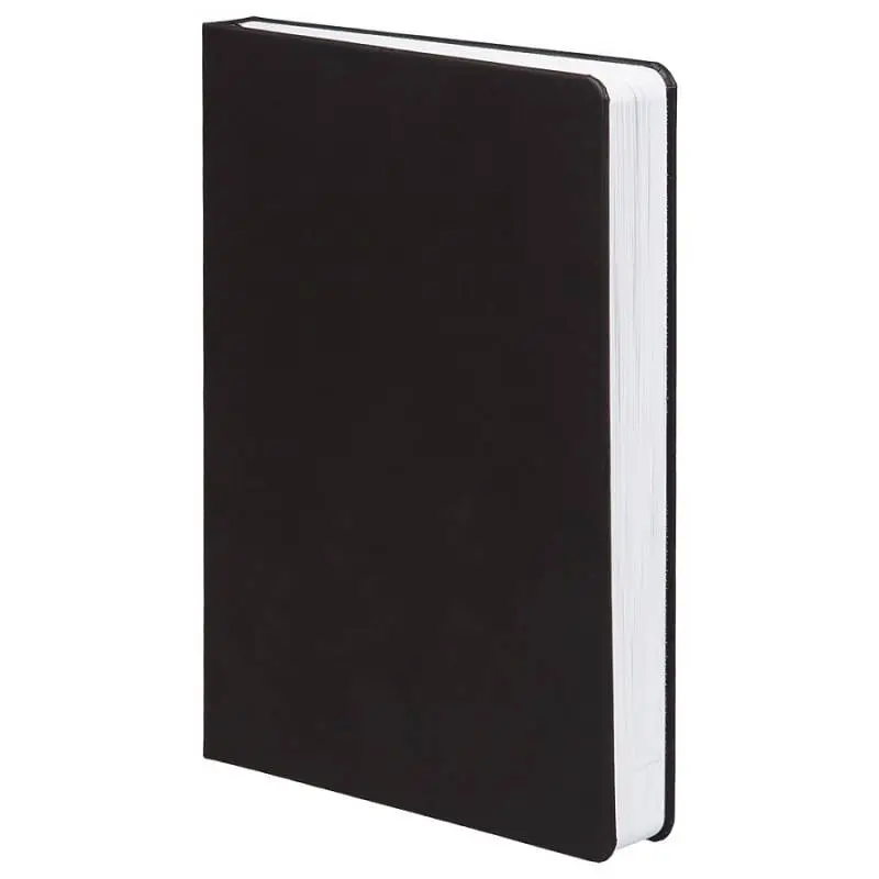 Ежедневник Basis, датированный, 15х21х2,3 см