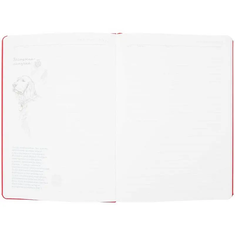 Показать дополнительное фото 5