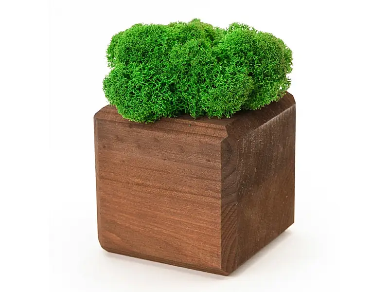 Показать дополнительное фото 1