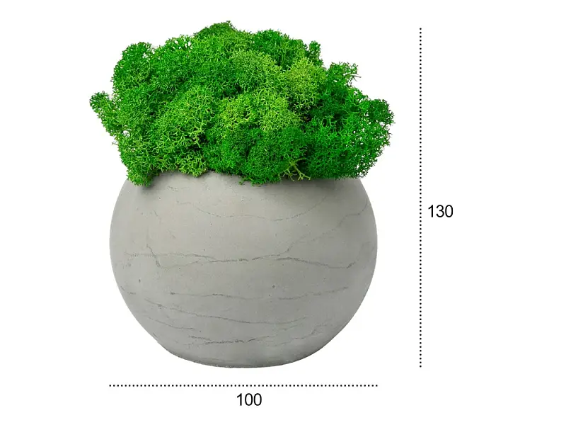 Показать дополнительное фото 6