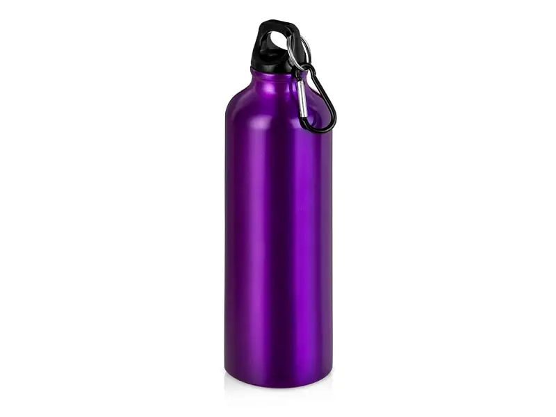 Бутылка Hip M с карабином, 770 мл, пурпурный (Р) - 5-10029708p