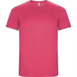 Спортивная футболка IMOLA мужская