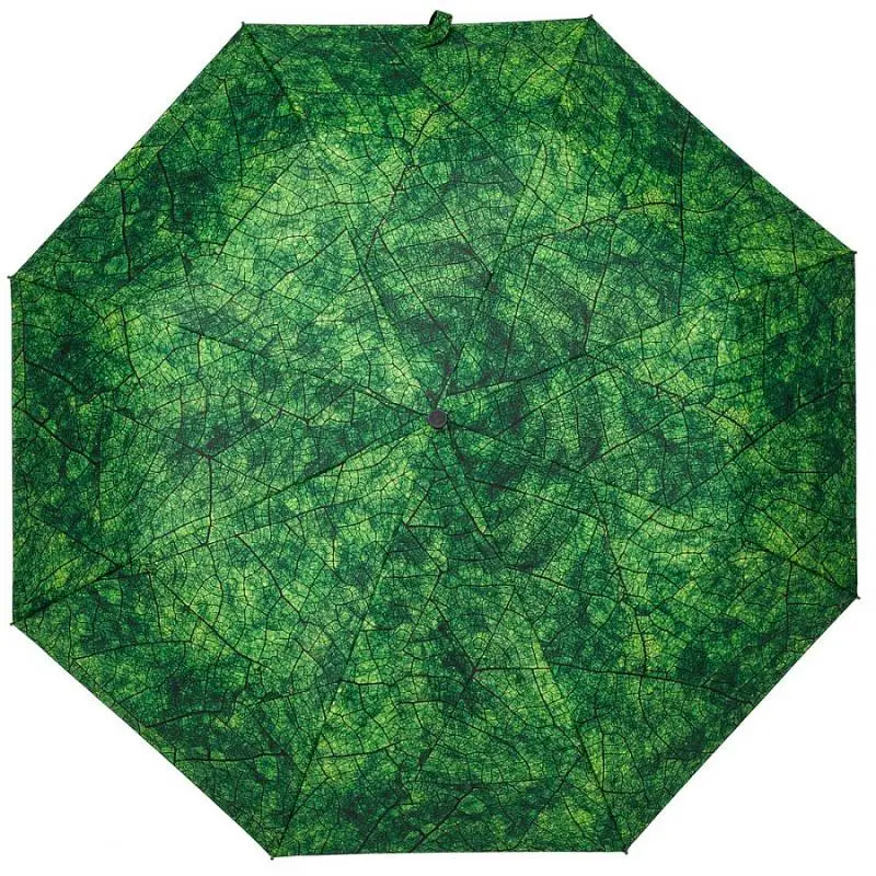 Зонт складной Evergreen, длина 57 см, диаметр купола 95 см; длина в сложении 30 см