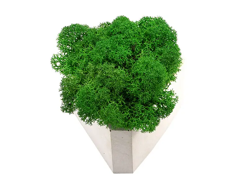 Показать дополнительное фото 3