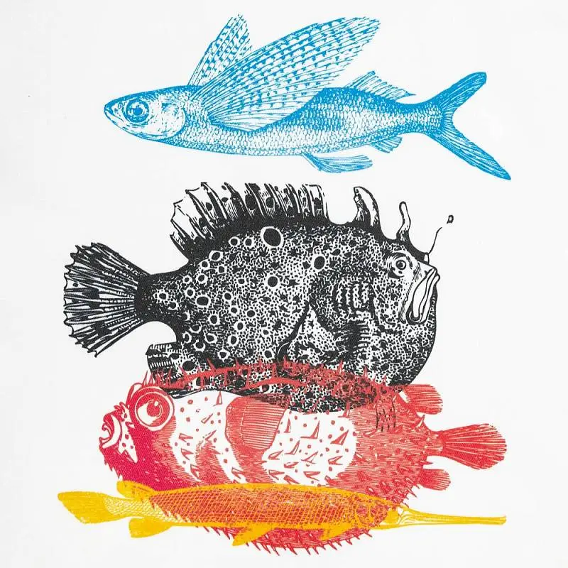 Показать дополнительное фото 2