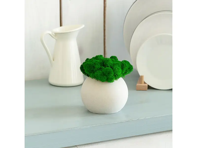 Показать дополнительное фото 5